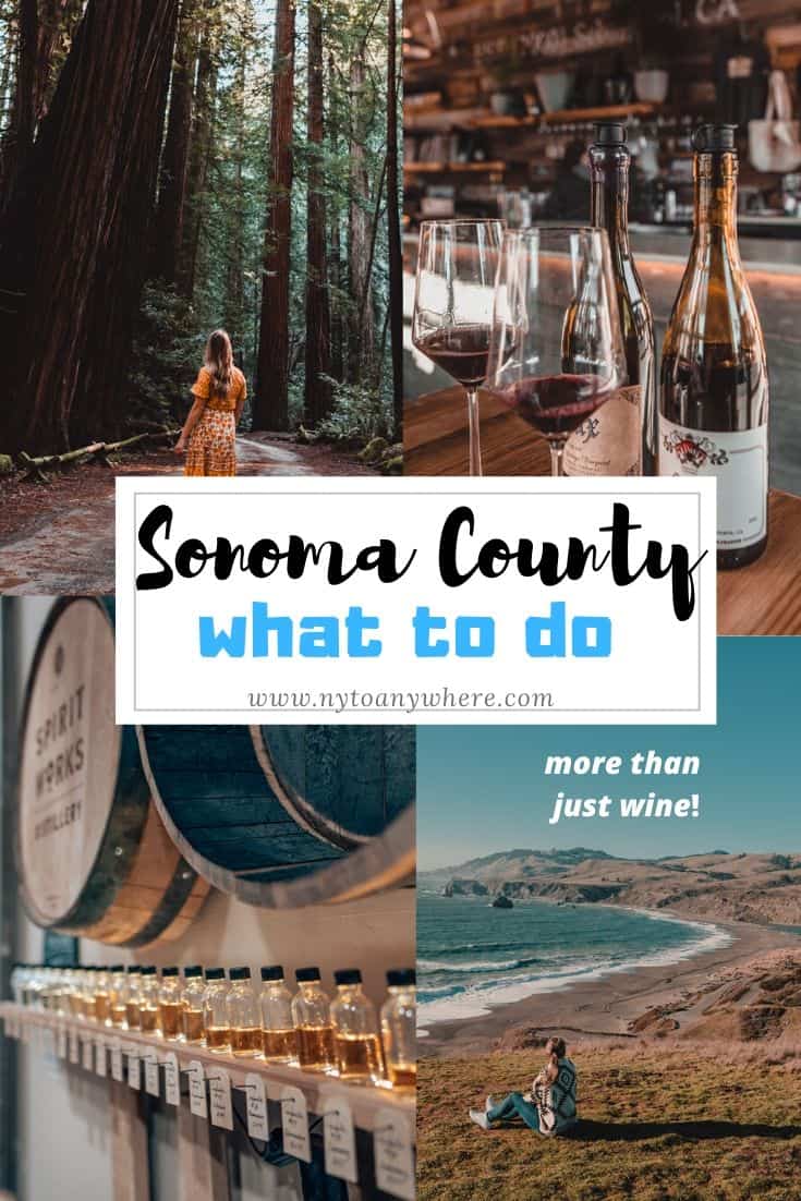 What to do in Sonoma County