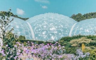 The Eden Project rainforest biome