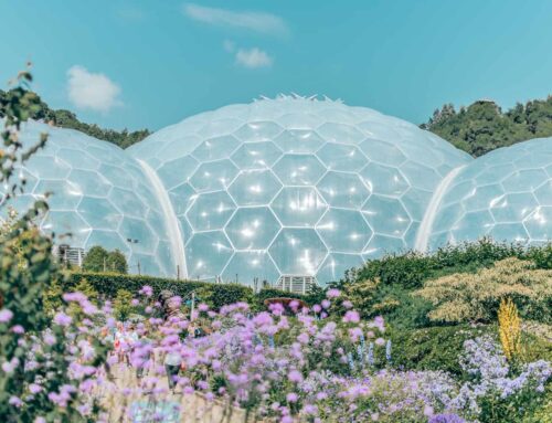 The Eden Project Experience