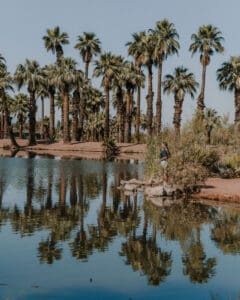 Papago Park - pond