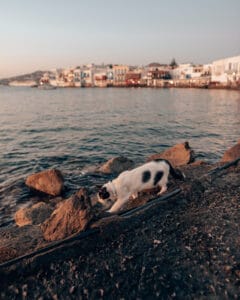 windmills in mykonos