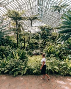 girl in a conservatory