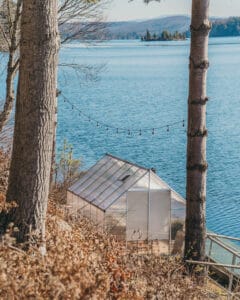 Greenhouse Old Pines