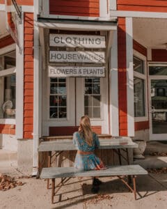 Main Street Farm Market Livingston Manor NY