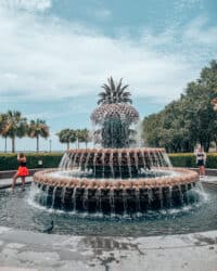 Fontaine aux ananas