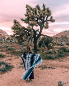 girl standing next to a Joshua Tree