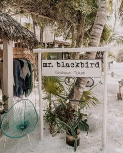 Mr. Blackbird Tulum