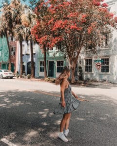 flowery tree Rainbow Row Charleston South Carolina