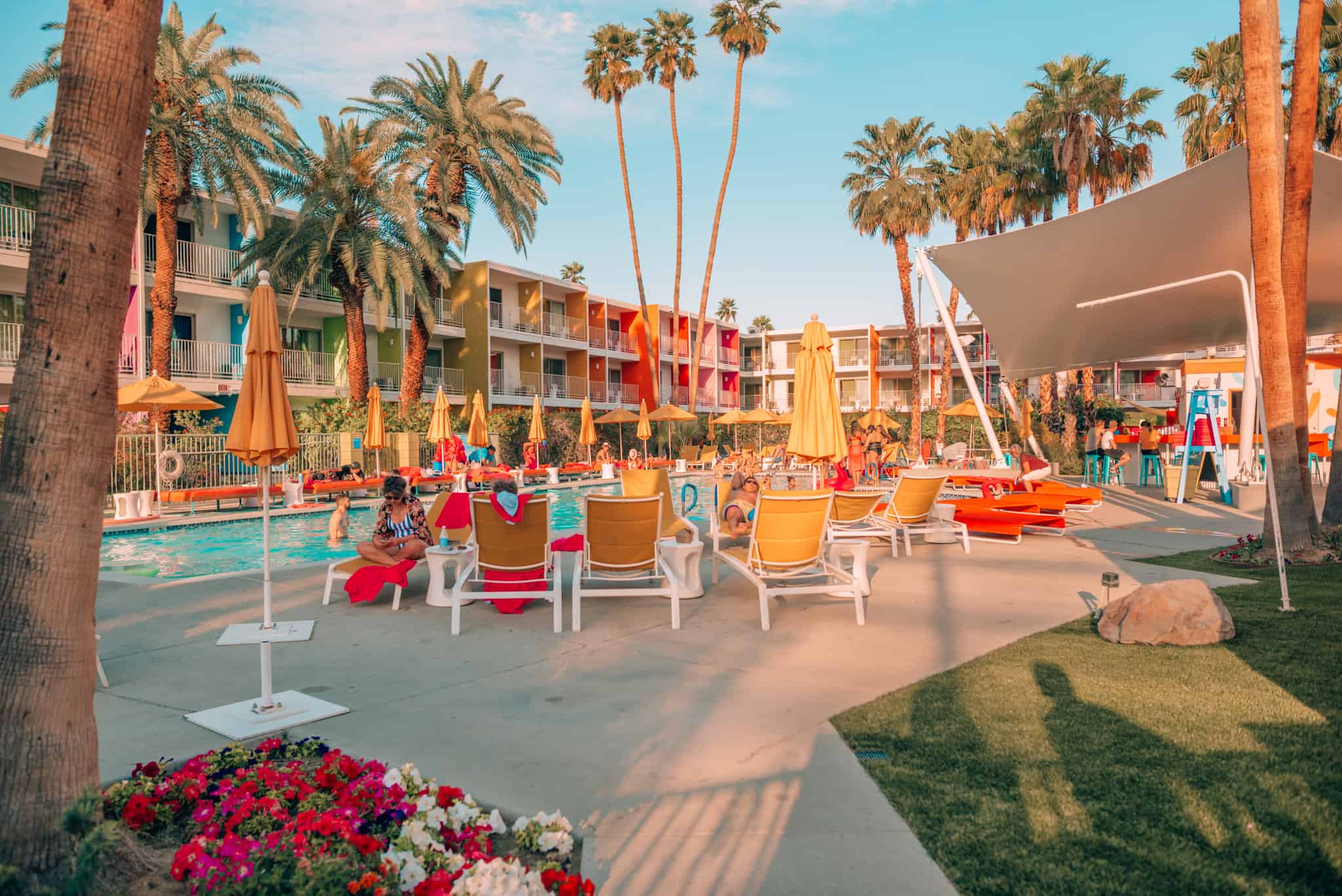 pool area surrounded by deck chairs and palm trees