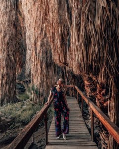 girl walking through hanging palms