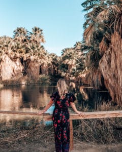 girl looking a pond