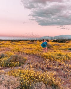 girl standing with windmills in the distance