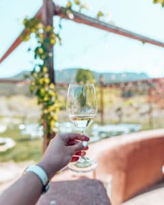 holding a wine glass in front if vineyard